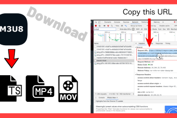 How to Download and Convert m3u8 video to TS, MP4, MOV with VLC (Mac)