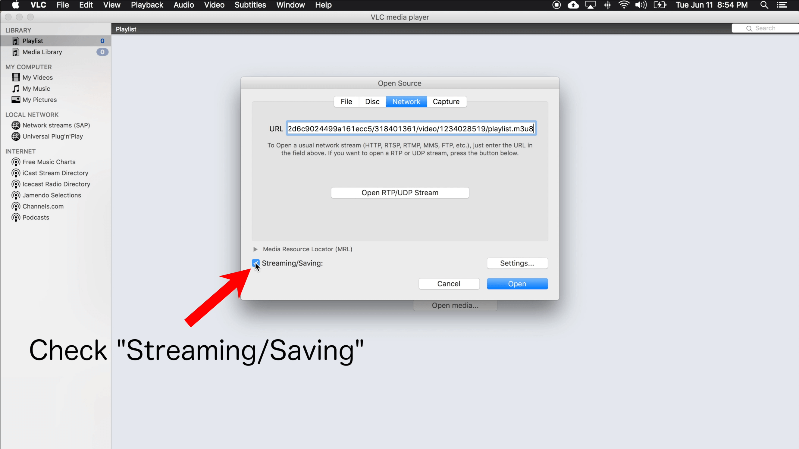 software to let you download streaming video for mac